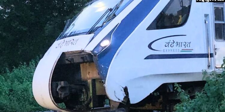 Vande Bharat Express Hits Cattle Near Raipur, Delays Journey to Bilaspur by Half an Hour