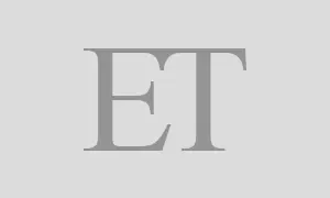 Jharkhand's Chakradharpur Division Trials New Elephant Detection System After Securing Elephants for Tests Amid Rising Train Collisions