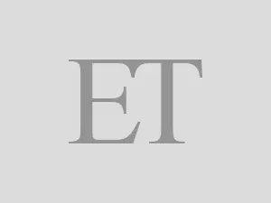 Jharkhand's Chakradharpur Division Trials New Elephant Detection System After Securing Elephants for Tests Amid Rising Train Collisions